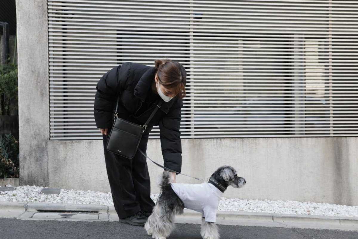 ミニチュアシュナウザー着用【dog】su-ha kun ハイネックTシャツ【ライトグレー】【mmsu-ha】