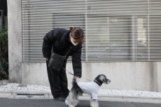 ミニチュアシュナウザー着用【dog】su-ha kun ハイネックTシャツ【ライトグレー】【mmsu-ha】