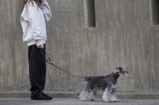 画像27: ONE SIZE COLLAR/ワンサイズカラー【レザーオーダー】 (27)