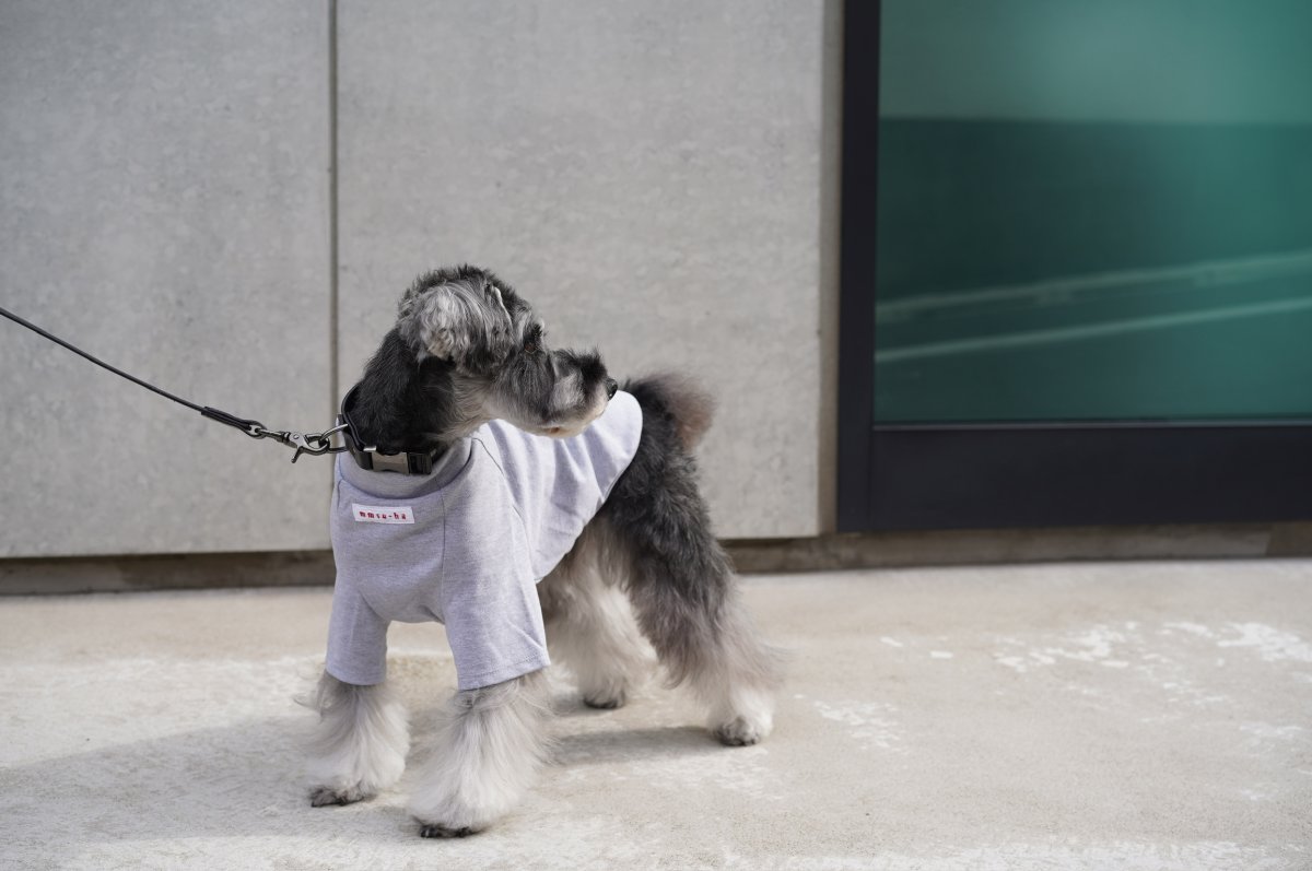 画像29: ONE SIZE COLLAR/ワンサイズカラー【レザーオーダー】 (29)