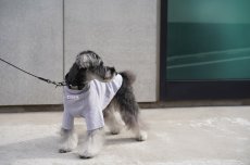 画像14: ONE SIZE COLLAR/ワンサイズカラー【レザーオーダー】 (14)