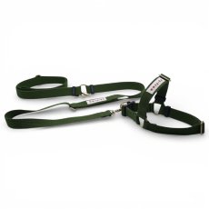 画像35: TAG 25 ハーネス【クロスオーダー】 (35)