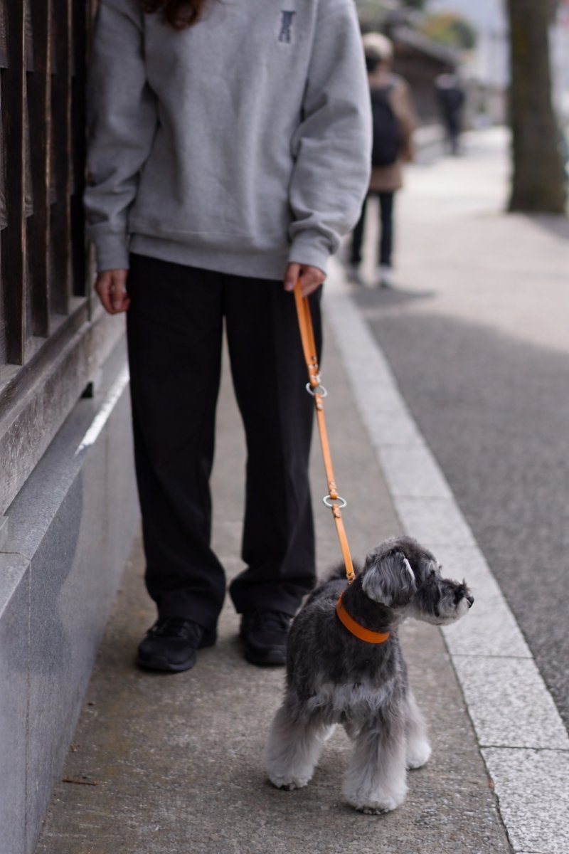 画像33: ONE SIZE COLLAR/ワンサイズカラー【レザーオーダー】 (33)