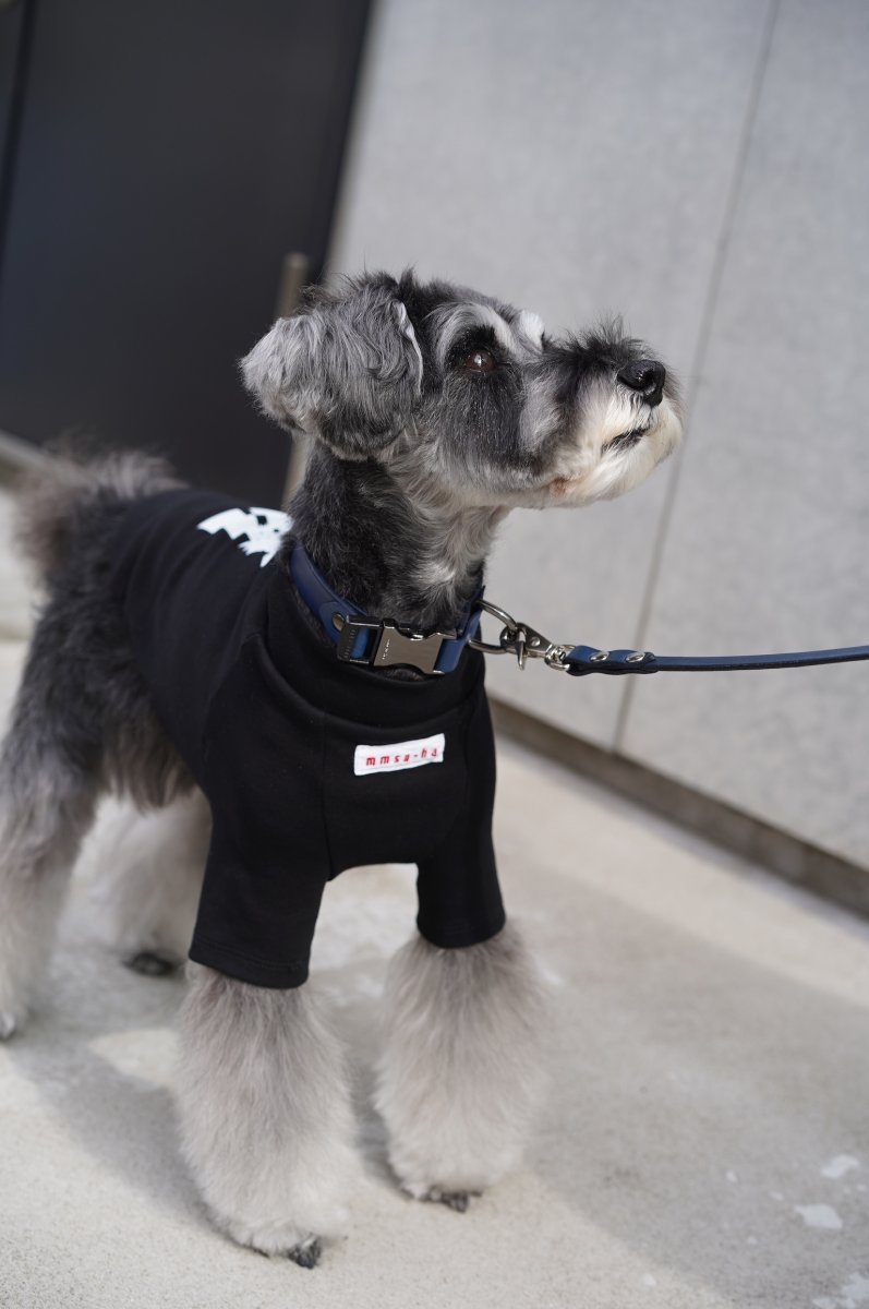 画像30: ONE SIZE COLLAR/ワンサイズカラー【レザーオーダー】 (30)