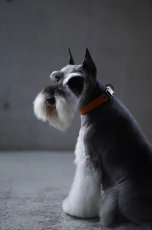 画像22: ONE SIZE COLLAR/ワンサイズカラー【レザーオーダー】 (22)