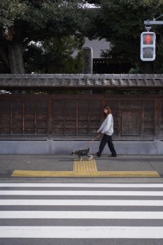 画像7: ONE SIZE COLLAR/ワンサイズカラー【レザーオーダー】 (7)
