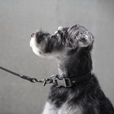 ONE SIZE COLLAR/ワンサイズカラー【レザーオーダー】/mmsu-haオンラインショップ
