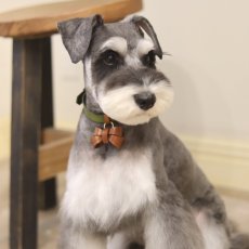 mmsu-haオリジナルレザーフリコリボンカラーカラー/ シュナウザー首輪 /リボンサイズ：NORMAL　リボン色：ブラウン　首輪：カーキ　金具色：ゴールド