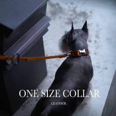 ミニチュアシュナウザー × mmsu-haオリジナルONE SIZE COLLAR/ワンサイズカラー
