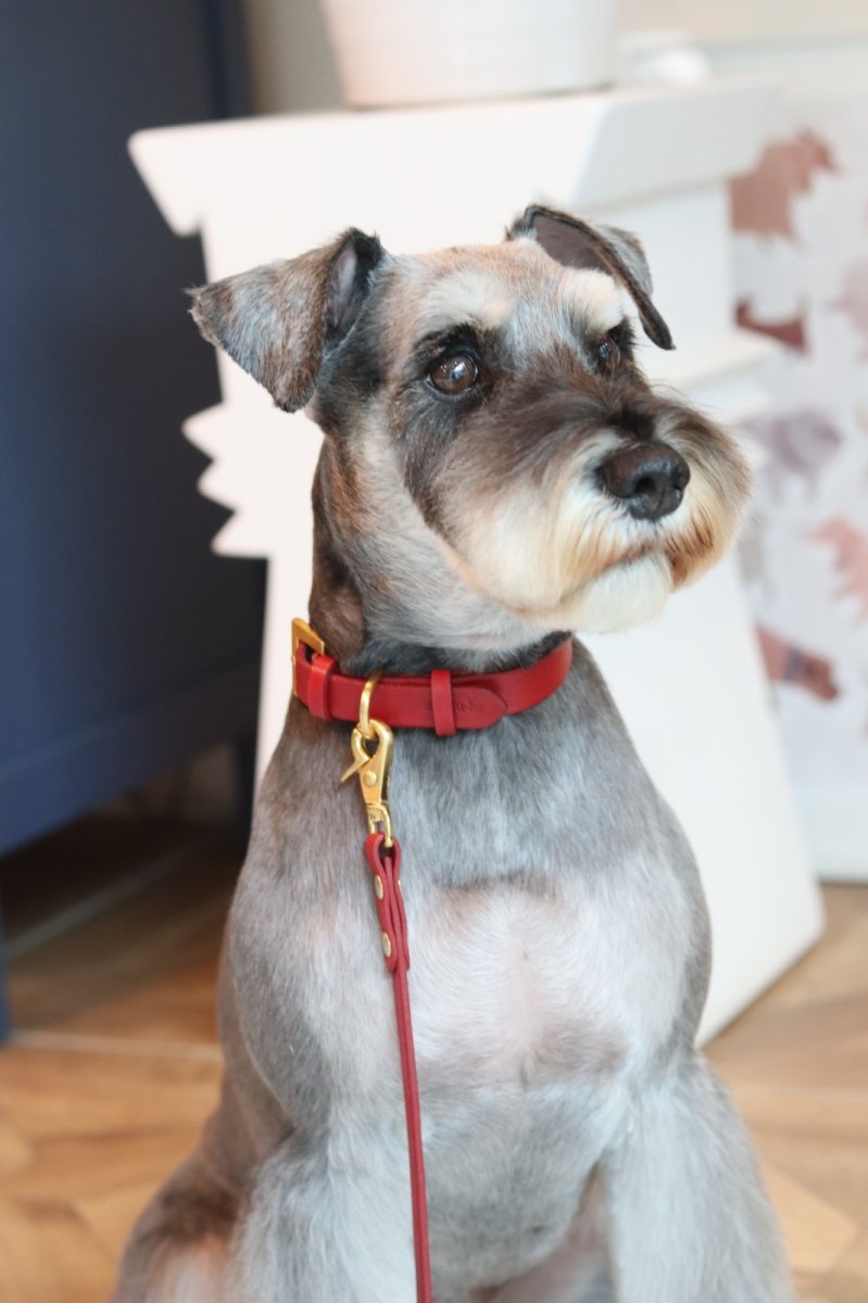 画像5: LEATHER COLLAR【レザーオーダー】 (5)