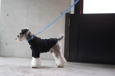 画像2: ロゴ25 首輪・リード/ショルダーリードセット【クロスオーダー】 (2)