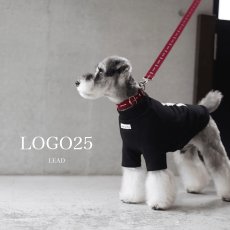 シュナウザー/リード