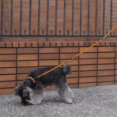 画像1: 3 STAY LEAD/スリーステイリード【レザーオーダー】 (1)