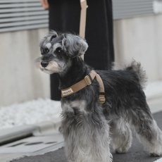 画像1: TAG 25 ハーネス【クロスオーダー】 (1)