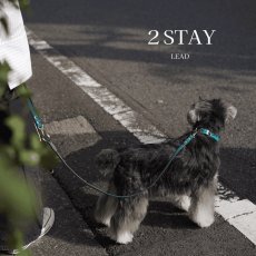 画像1: 2 STAY LEAD/ツーステイリード【レザーオーダー】 (1)