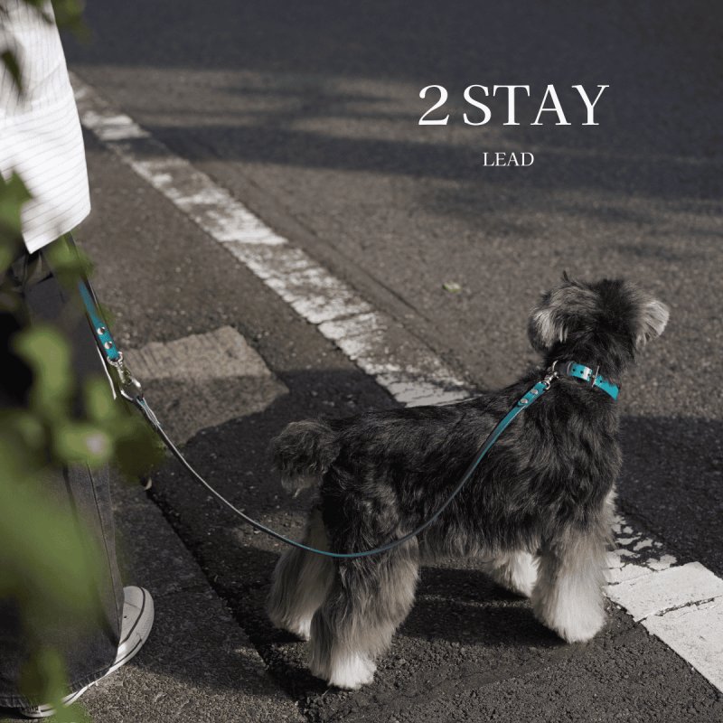 mmsu-haオリジナル犬用リード/2 STAY（スリーステイ）リードオーダー