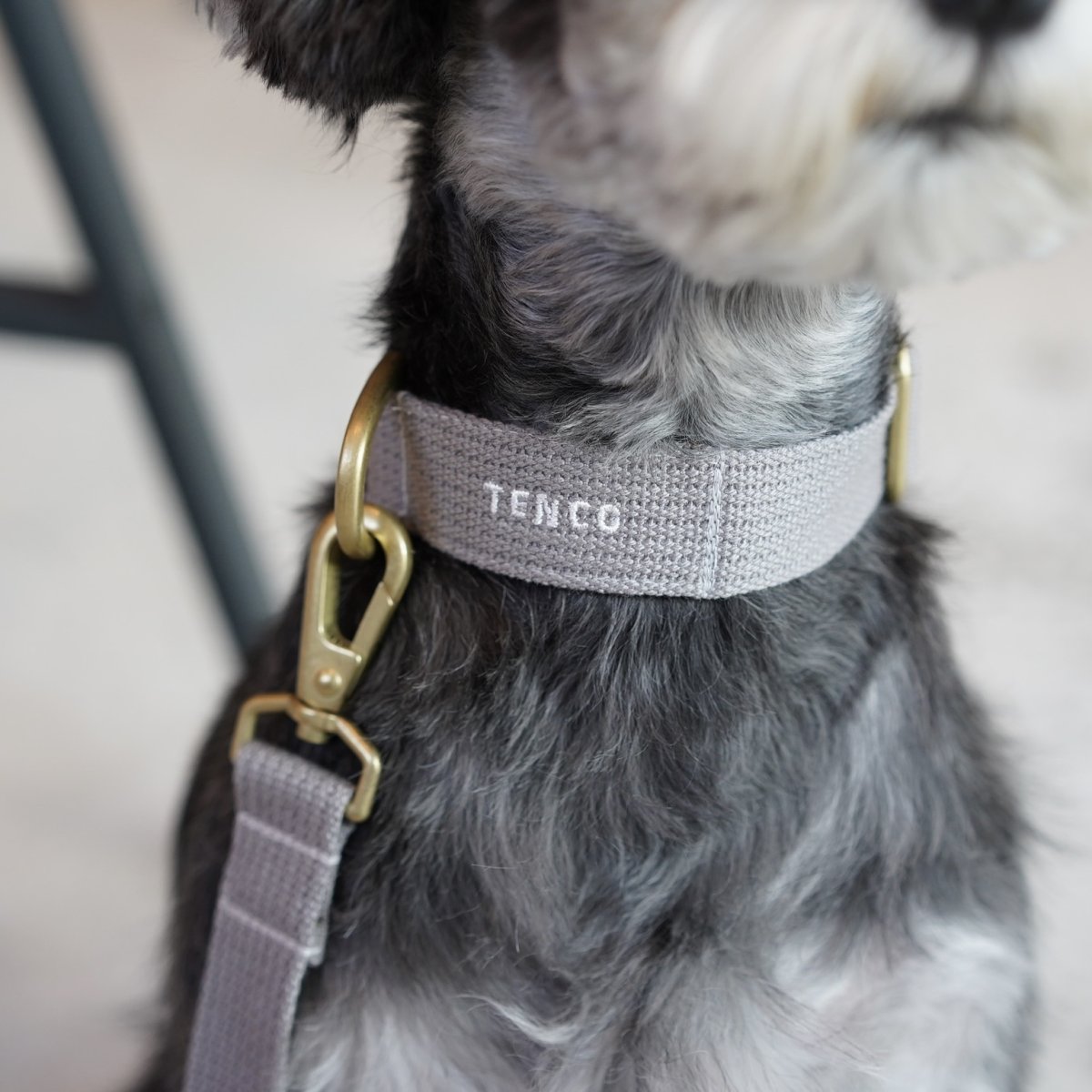 画像1: MY NAME 25 刺繍カラー／首輪【クロスオーダー】 (1)