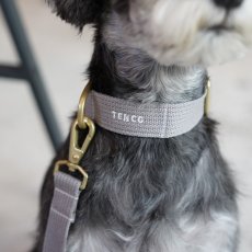 画像1: MY NAME 25 刺繍カラー／首輪【クロスオーダー】 (1)