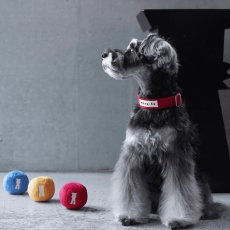 画像1: TAG 25 カラー/首輪【クロスオーダー】 (1)