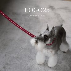 画像1: ロゴ25 首輪・リード/ショルダーリードセット【クロスオーダー】 (1)