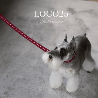 Mungo and&Maud uk 発 モードなドックWear リード首輪セット Mungo