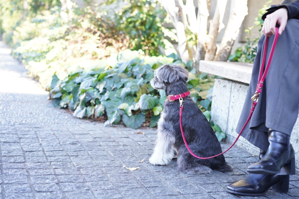 画像2: 2 STAY LEAD/ツーステイリード【レザーオーダー】 (2)