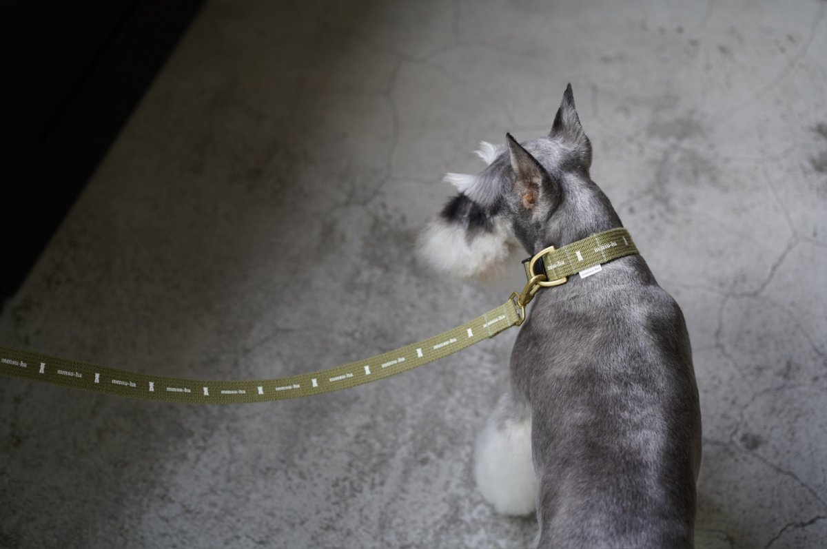 画像3: ロゴ25 首輪・リード/ショルダーリードセット【クロスオーダー】 (3)