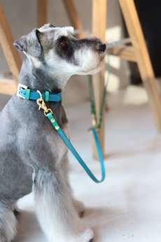 mmsu-ha 犬用リード/2 STAY リード オーダー リード色： ターコイズ　カブセ色：：グリーン 金具:ゴールド