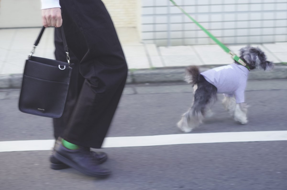 画像21: お散歩バッグ/ヴィーガンレザー【mmsu-ha】 (21)