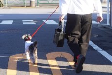 画像19: お散歩バッグ/ヴィーガンレザー【mmsu-ha】 (19)