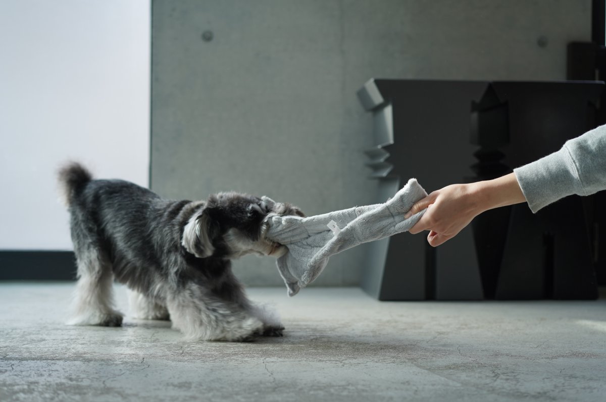 画像13: フワモコ su-ha kun TOY (13)