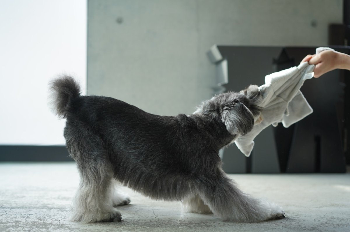 画像14: フワモコ su-ha kun TOY (14)