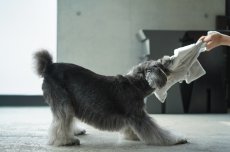 画像14: フワモコ su-ha kun TOY (14)