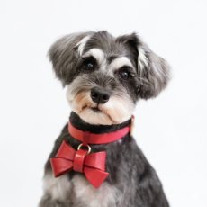 FURICOリボンカラー/mmsu-haレザー首輪