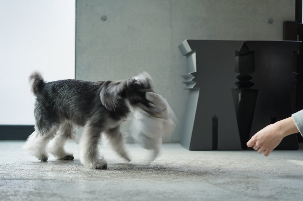 画像15: フワモコ su-ha kun TOY (15)