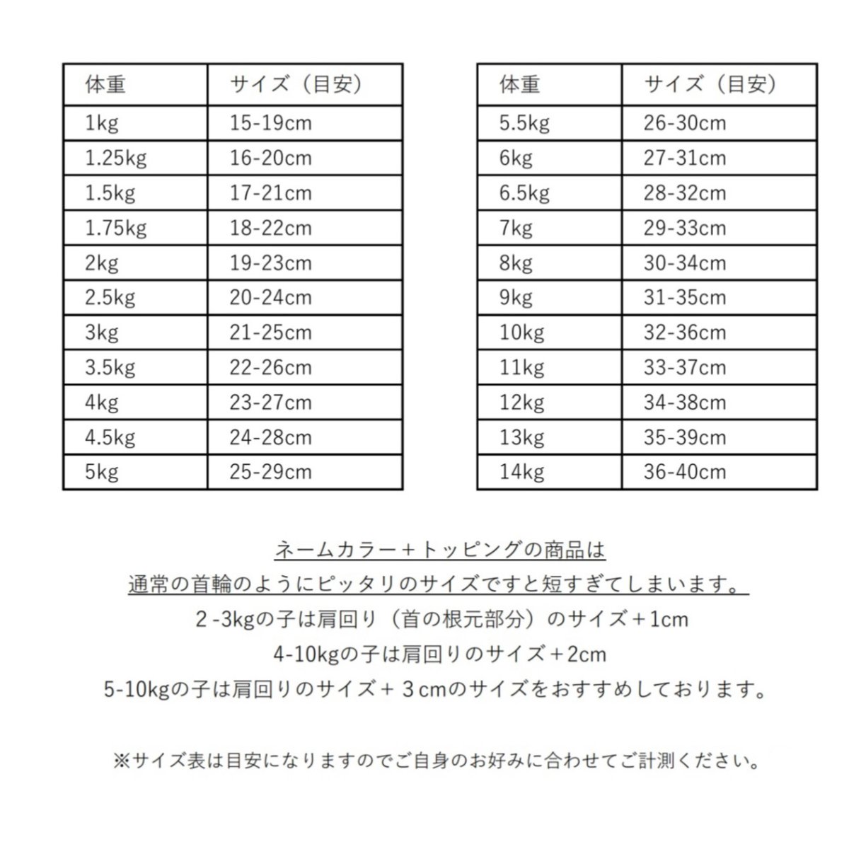 画像4: TIE + NAME COLLAR/迷子札【レザーオーダー】 (4)