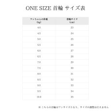 画像34: ONE SIZE COLLAR/ワンサイズカラー【レザーオーダー】 (34)