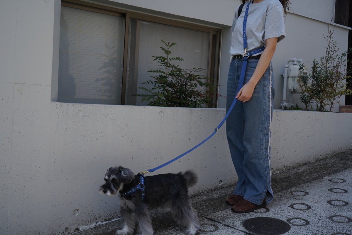 画像3: ロゴ25 肩掛けショルダーリード【クロスオーダー】 (3)