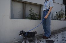 画像3: ロゴ25 肩掛けショルダーリード【クロスオーダー】 (3)