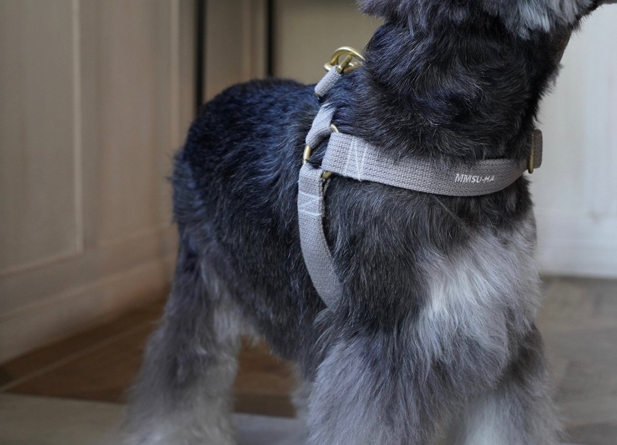 画像4: MY NAME 25 刺繍ハーネス【クロスオーダー】 (4)