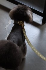 シュナウザー/リード色：カーキ