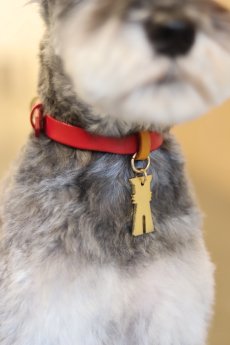 画像13: METAL su-ha kun COLLAR【レザーオーダー】 (13)