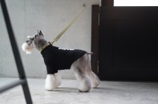 シュナウザー/リード色：カーキ