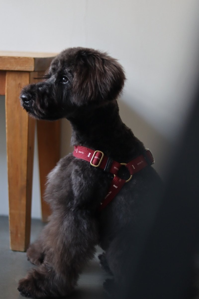 画像6: ロゴ25 ハーネス【クロスオーダー】 (6)