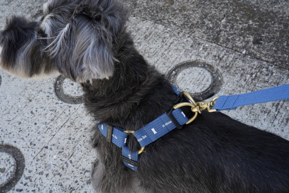 画像4: ロゴ25 ハーネス【クロスオーダー】 (4)