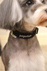 画像4: MY NAME 刺繍 首輪・リードセット【クロスオーダー】 (4)