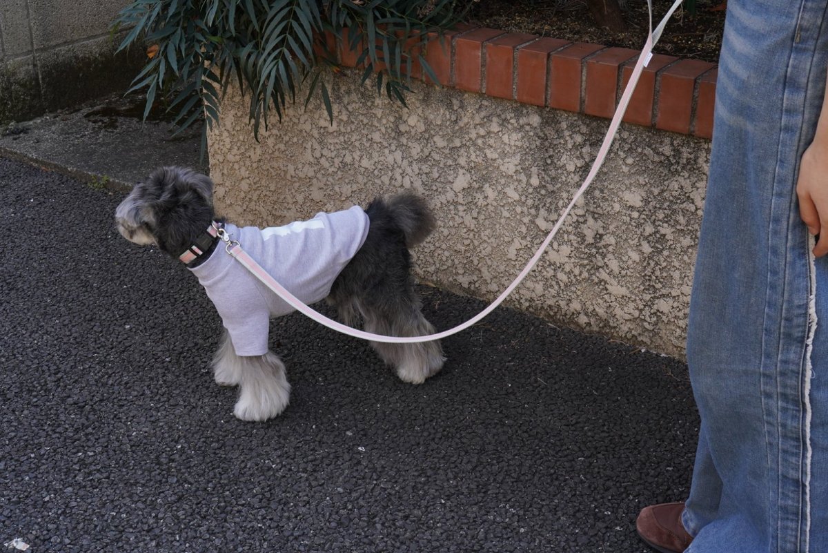 画像3: シンプルクロスカラー【クロスオーダー】 (3)