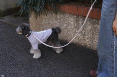 画像3: シンプルクロスカラー【クロスオーダー】 (3)