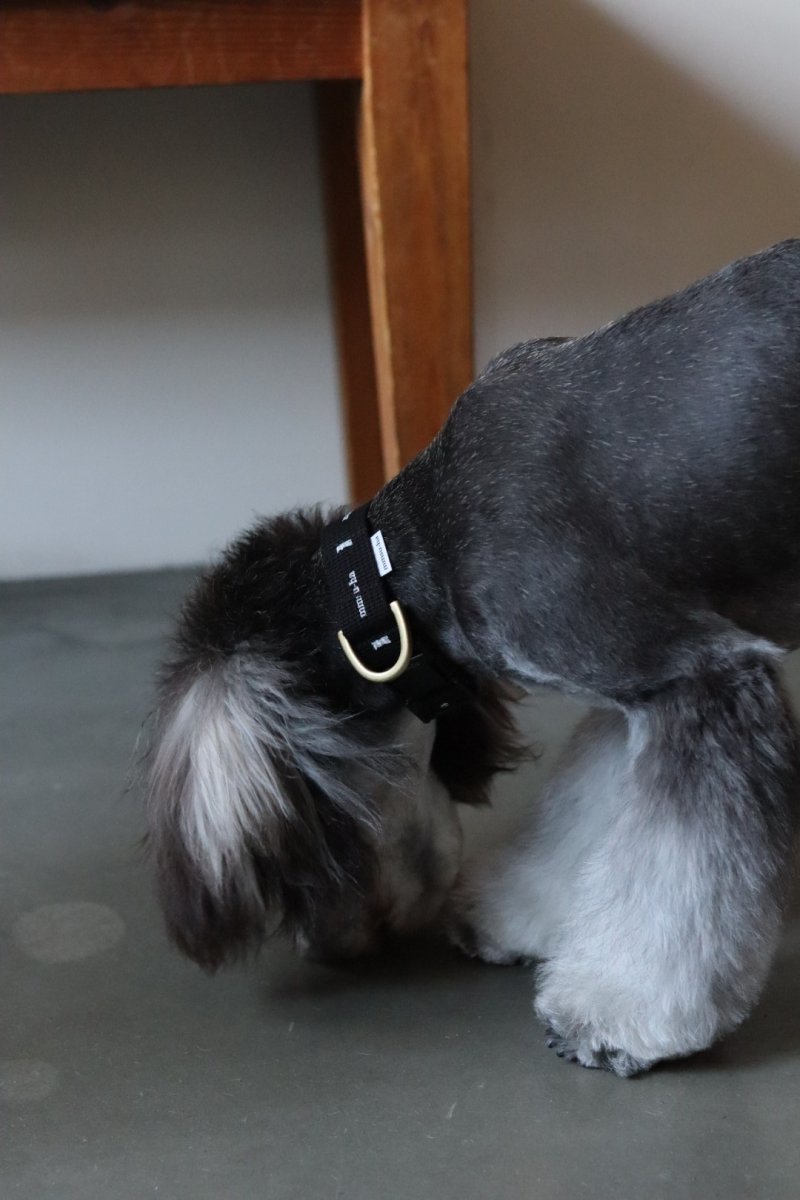 画像3: ロゴ25 カラー【クロスオーダー】 (3)