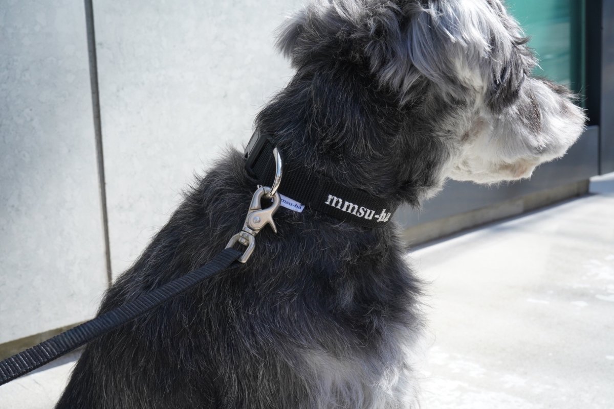 画像3: MY NAME 刺繍リード【クロスオーダー】 (3)